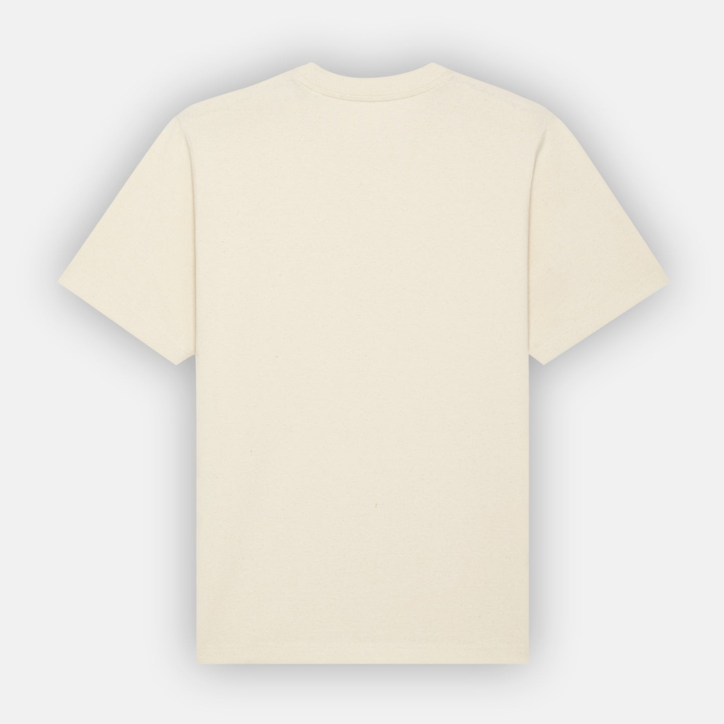 Organic Cotton Relaxed Fit T-Shirt